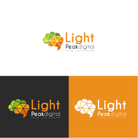 We built a Logo for a Digital Marketing Company named "Light Peak Digital"